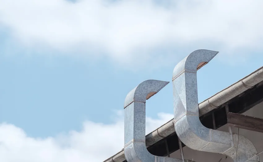 Baca Temizliği ve Şanslı