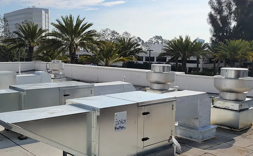 Domino's Pizza Baca Temizleme