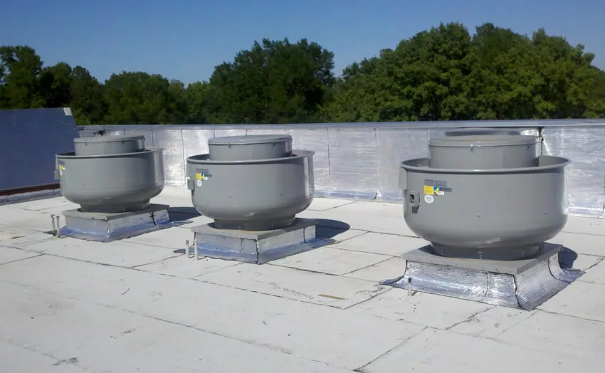 Shake Shack Baca Temizleme